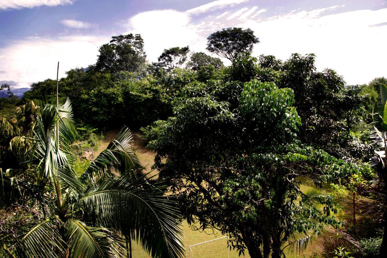 Pousada Flor De Penedo Penedo  Dış mekan fotoğraf